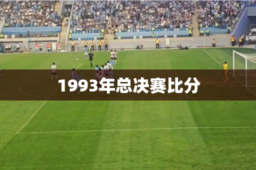 1993年总决赛比分