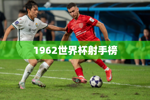 1962世界杯射手榜 1962世界杯射手榜