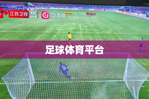 足球体育平台