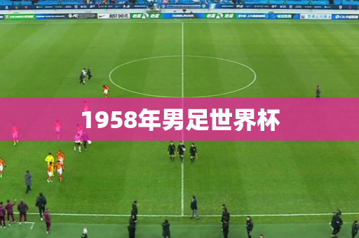 1958年男足世界杯