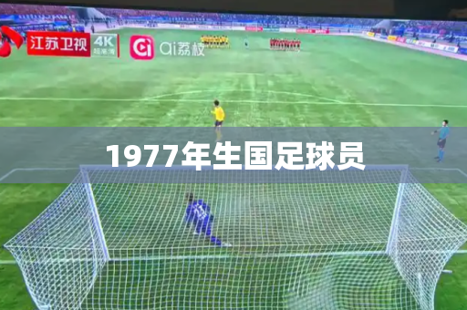 1977年生国足球员