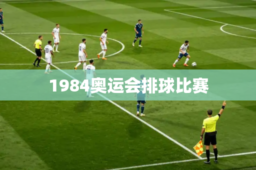 1984奥运会排球比赛