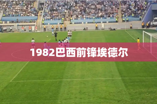 1982巴西前锋埃德尔