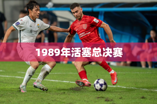 1989年活塞总决赛