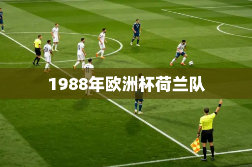 1988年欧洲杯荷兰队 1988年欧洲杯荷兰队