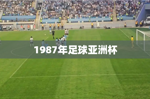1987年足球亚洲杯