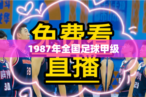 1987年全国足球甲级