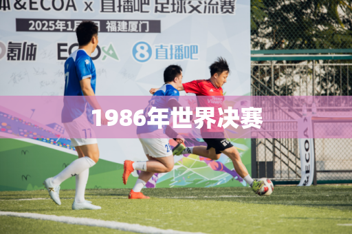1986年世界决赛 1986年世界决赛