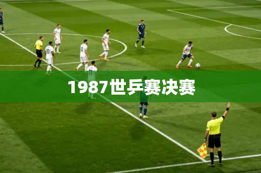 1987世乒赛决赛 1987世乒赛决赛