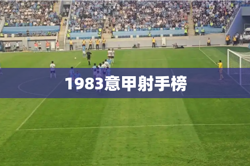1983意甲射手榜 1983意甲射手榜