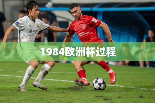 1984欧洲杯过程 1984欧洲杯过程