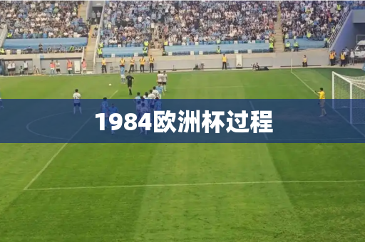 1984欧洲杯过程 1984欧洲杯过程