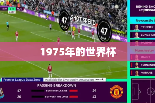 1975年的世界杯 1975年的世界杯