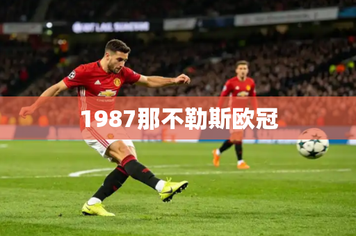 1987那不勒斯欧冠 1987那不勒斯欧冠