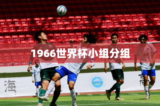 1966世界杯小组分组 1966世界杯小组分组