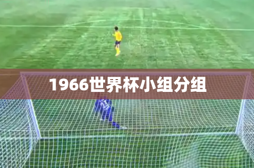 1966世界杯小组分组