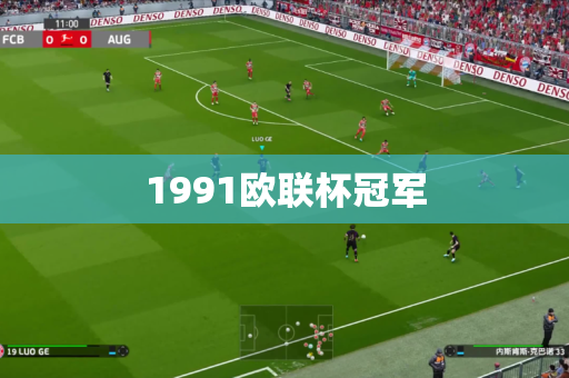 1991欧联杯冠军 1991欧联杯冠军