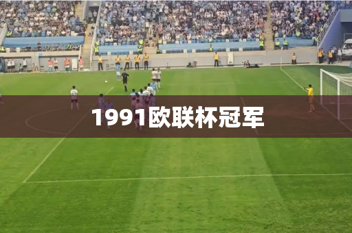 1991欧联杯冠军
