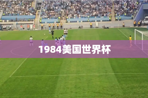 1984美国世界杯 1984美国世界杯