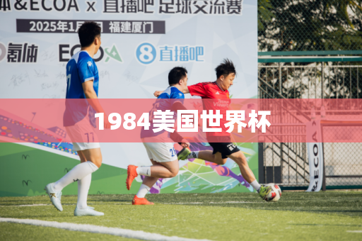 1984美国世界杯 1984美国世界杯