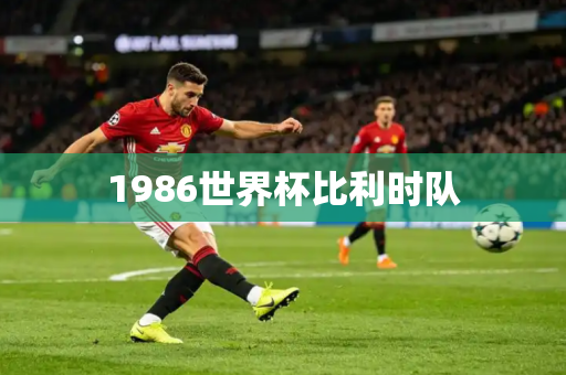 1986世界杯比利时队 1986世界杯比利时队