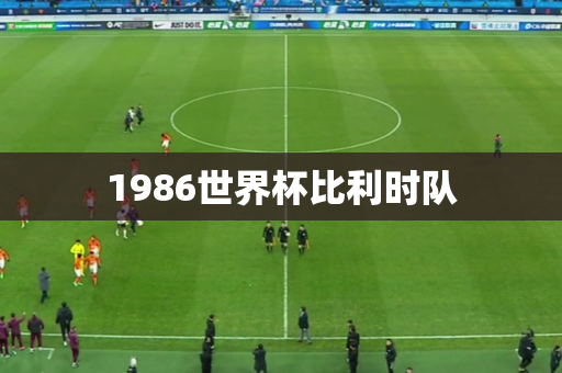 1986世界杯比利时队