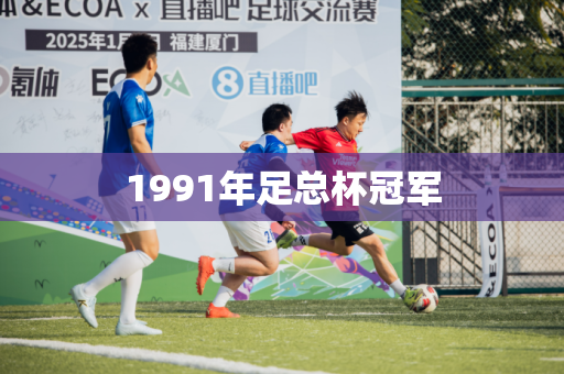 1991年足总杯冠军 1991年足总杯冠军