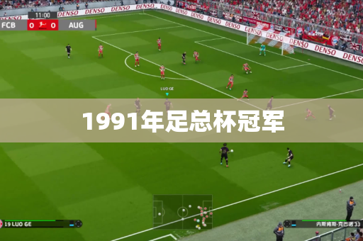 1991年足总杯冠军