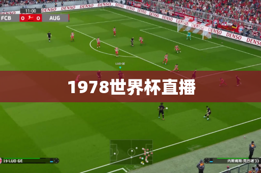 1978世界杯直播