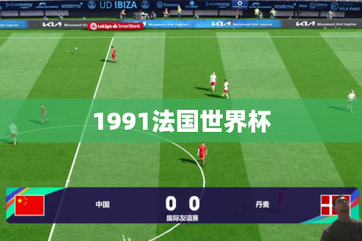1991法国世界杯