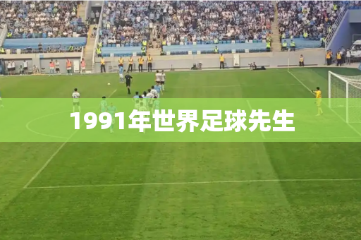 1991年世界足球先生