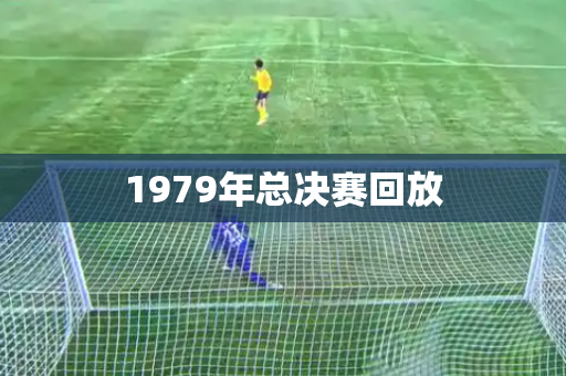 1979年总决赛回放