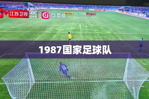 1987国家足球队 1987国家足球队