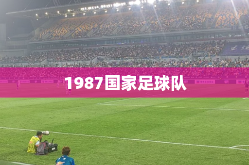 1987国家足球队 1987国家足球队
