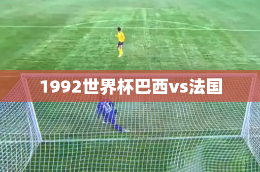 1992世界杯巴西vs法国
