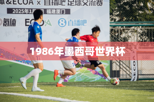 1986年墨西哥世界杯