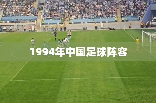 1994年中国足球阵容