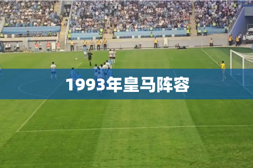 1993年皇马阵容 1993年皇马阵容