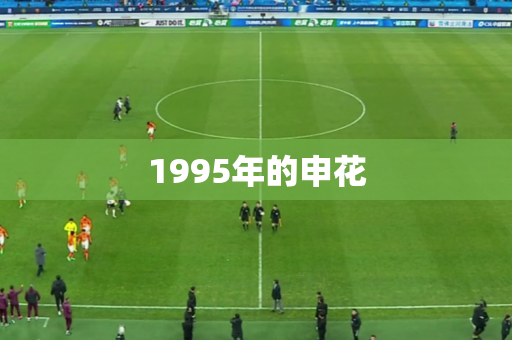 1995年的申花 1995年的申花