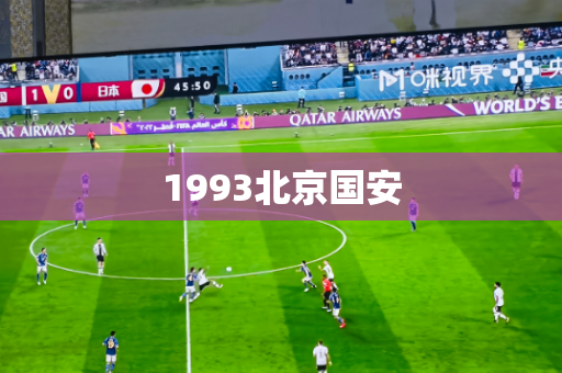 1993北京国安 1993北京国安