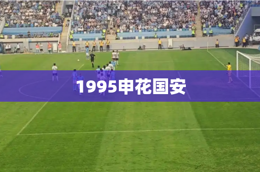 1995申花国安 1995申花国安