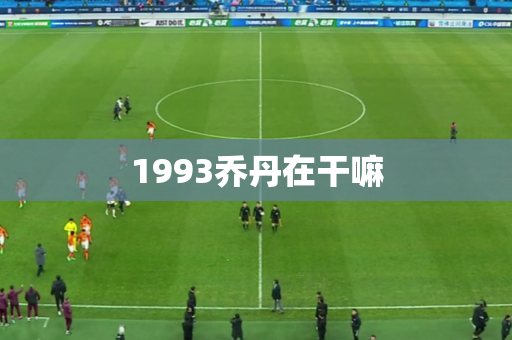1993乔丹在干嘛 1993乔丹在干嘛