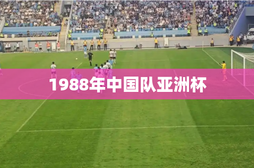 1988年中国队亚洲杯 1988年中国队亚洲杯