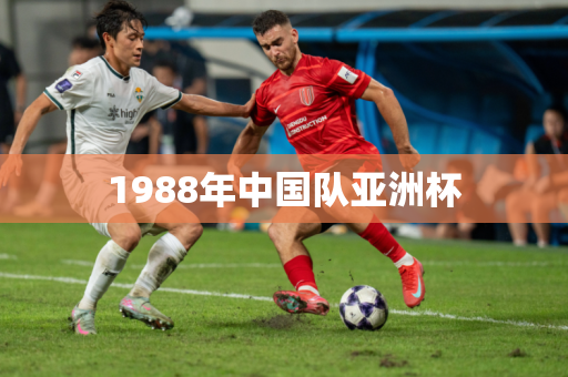 1988年中国队亚洲杯 1988年中国队亚洲杯