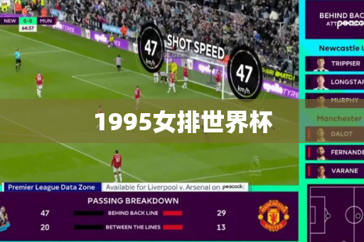 1995女排世界杯