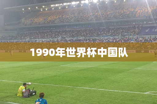 1990年世界杯中国队