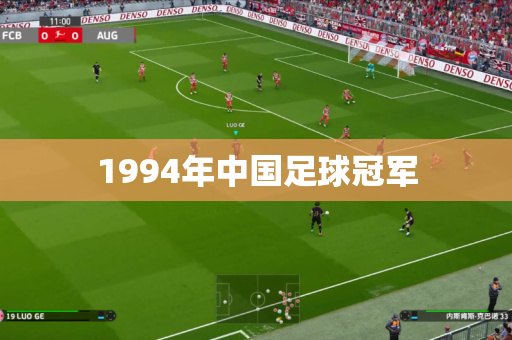 1994年中国足球冠军