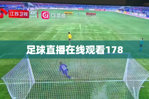 足球直播在线观看178