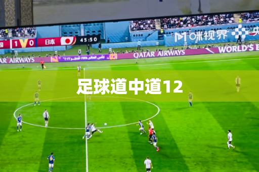足球道中道12 足球道中道12