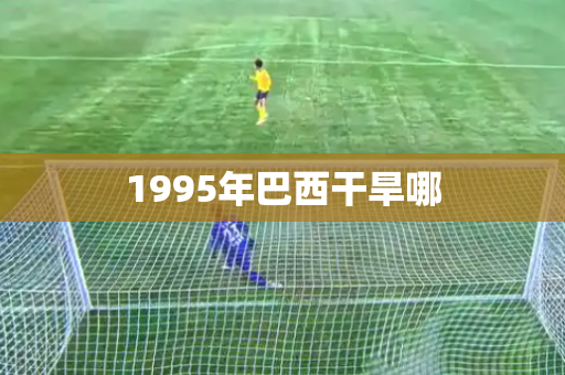 1995年巴西干旱哪 1995年巴西干旱哪